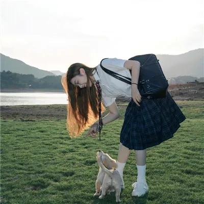 狗假死之物